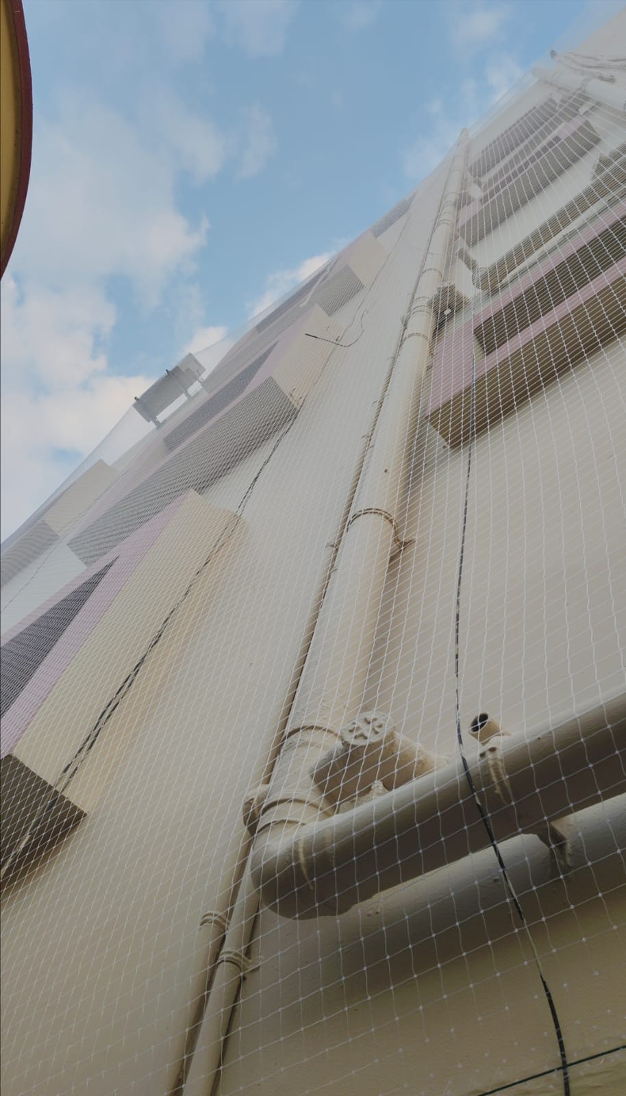 Pigeon Nets for Buildings
