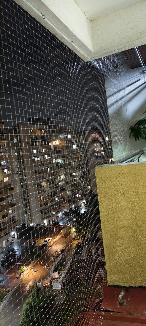 Transparent Pigeon Net